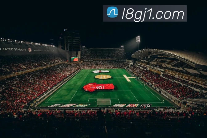 龙8国际官网APP 封面图